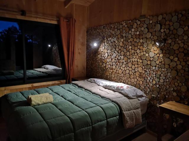 Calafquen Adventure Guest house *